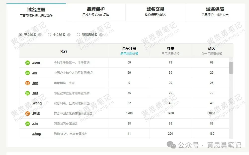 搭建网站前必知：如何注册一个好的域名？插图