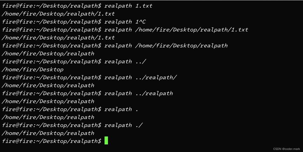 編程必備！realpath 命令：確保文件路徑準確性和一致性的神器插圖1