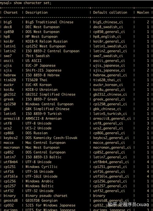 MySQL 数据库创建：字符集选择的关键考量因素，你知道吗？插图