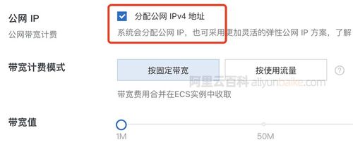 你知道云服务器公网 IP 是什么吗？一文带你了解其重要性插图1