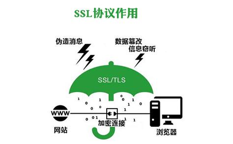 SSL 到底有多重要？一文读懂它如何守护你的网络安全插图1