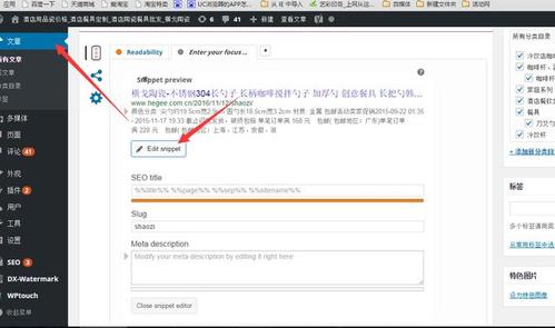 WordPress 自定义分类法存档页 404 错误？别怕，一文教你轻松解决插图1