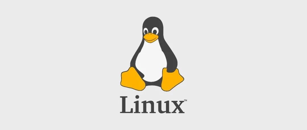 Linux 内核是什么？通过多张图片展示其作用与功能插图1