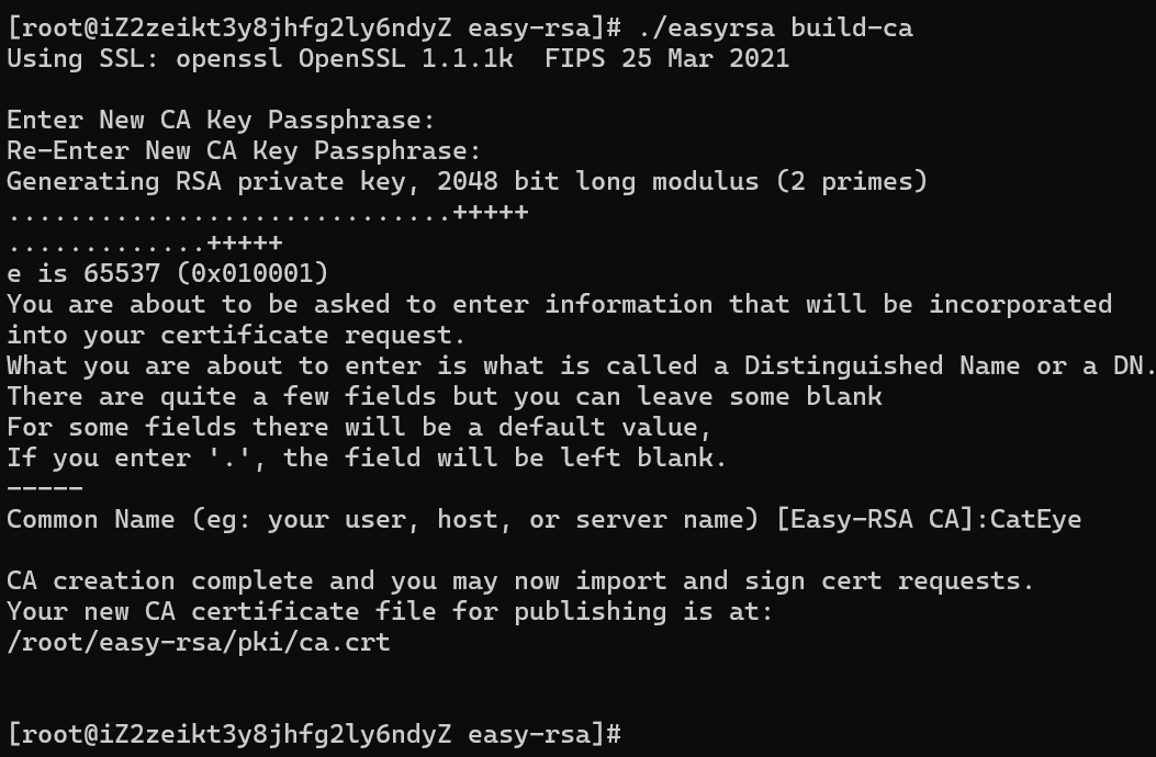 如何使用 openvpn 加微软原生远程桌面实现远程控制家里的电脑？插图2