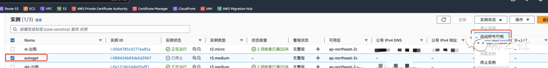 AWS 云服务器 IP 访问不了？一文教你如何更换 IP 地址及日常维护插图12