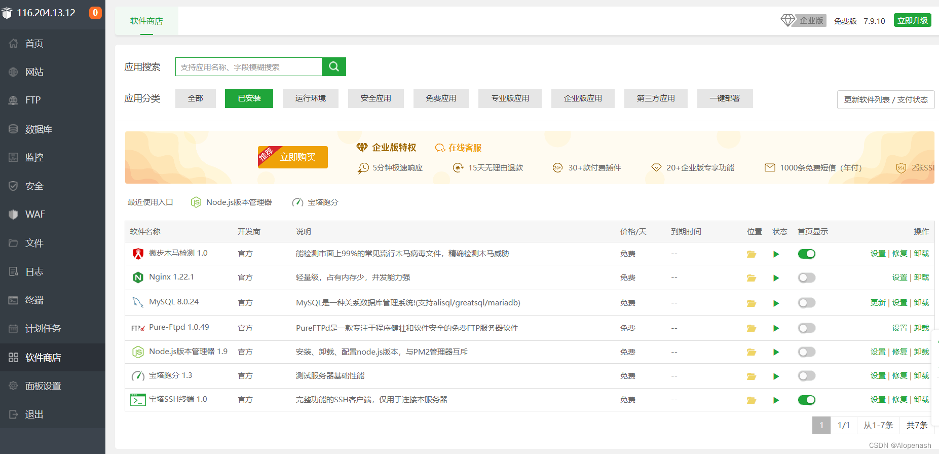 Vue与Element-Admin网站部署实战：云服务器与内网穿透的低成本解决方案插图11