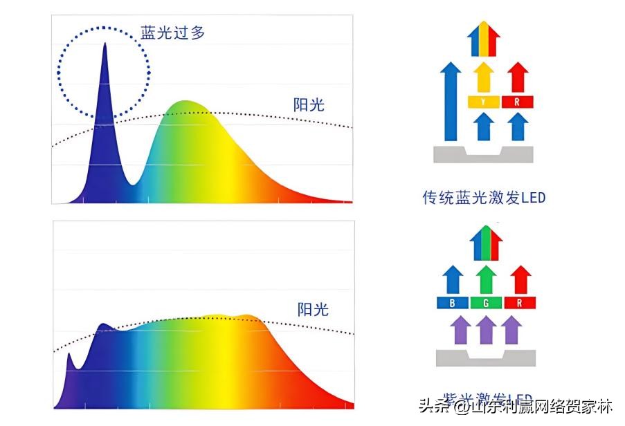 护眼灯选紫光还是蓝光？家长必看的护眼灯选购指南插图1