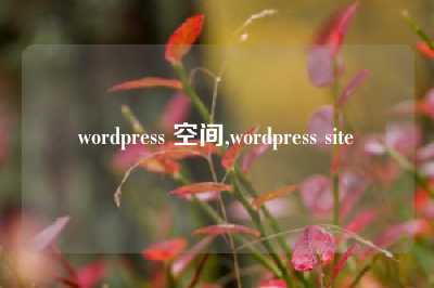 建立WordPress網站無從下手？看這幾個步驟插圖