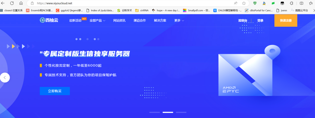 生信分析必备：西柚云服务器租赁指南及优惠活动立减200元插图2
